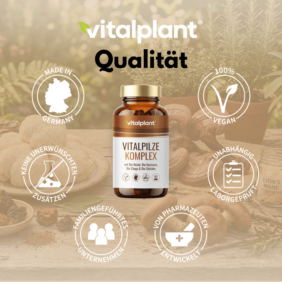 Organic mushroom complex with ingredients from chaga, reishi, shiitake, and lion's mane.