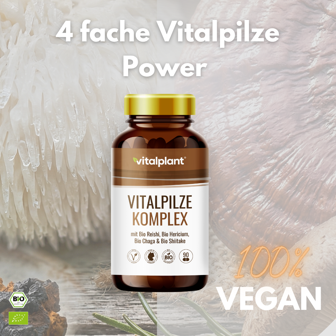 Bio Vitalpilze Komplex von Vitalplant, 100% vegan, enthält Chaga, Reishi, Shiitake und Hericium für Vitalität.