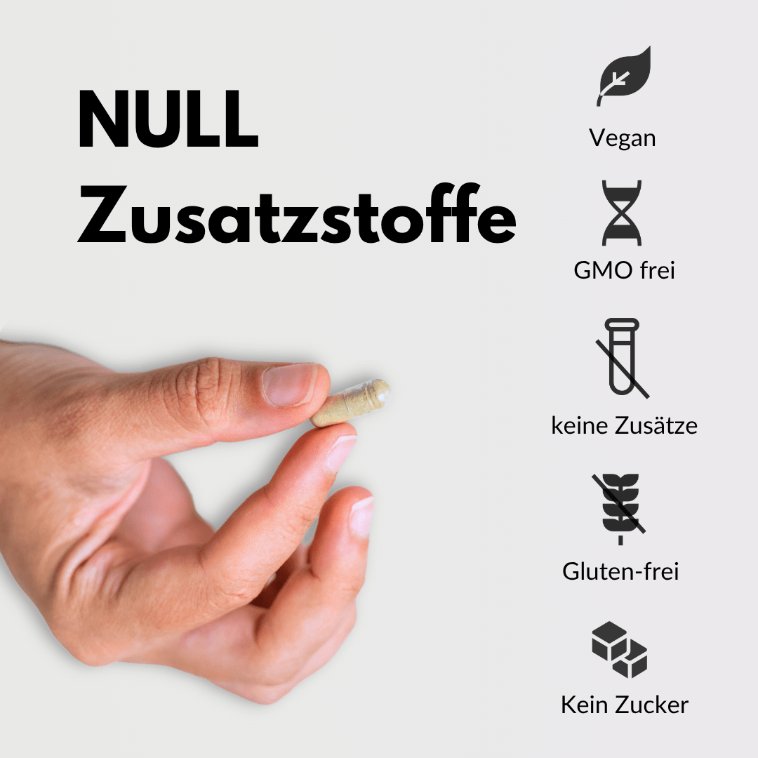 Bio Vitalpilze Komplex zeigt eine Hand mit Kapsel und Icons für Zusatzstoffe, vegan und glutenfrei.