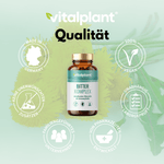 Bitter Komplex von Vitalplant – Heilkräuter für dein Wohlbefinden, vegan, laborgeprüft, hergestellt in Deutschland.