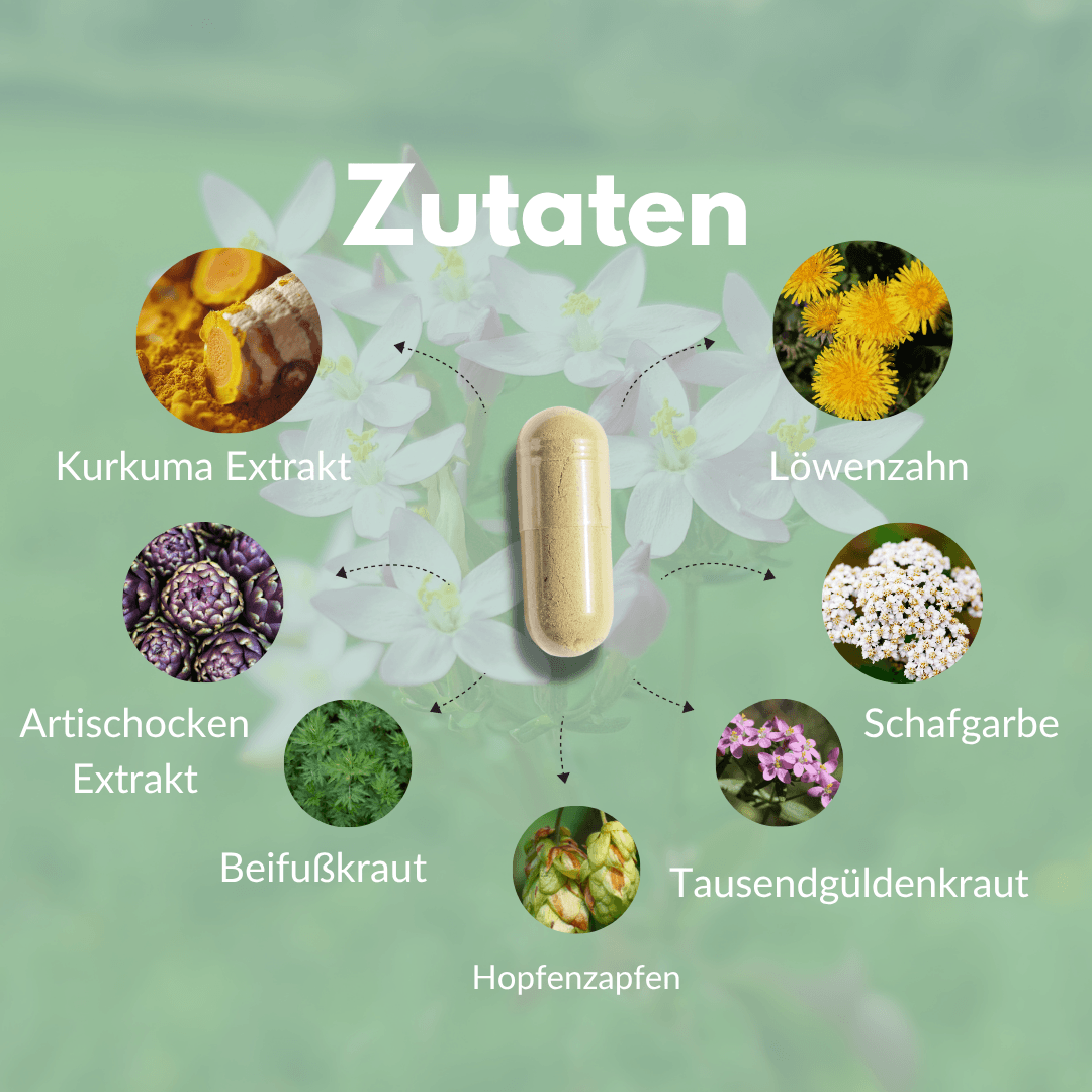 Bitter Komplex – Zutatenliste mit Kurkuma, Löwenzahn, Schafgarbe und weiteren Heilkräutern.