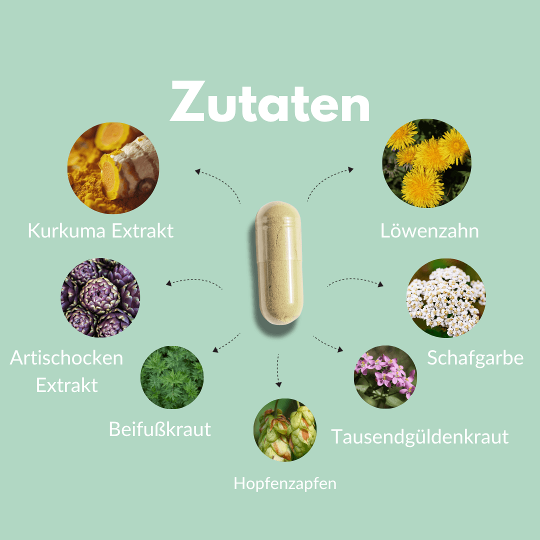 Bitter Komplex Kapseln mit Kurkuma, Löwenzahn, Artischocken, Schafgarbe und weiteren Kräutern.