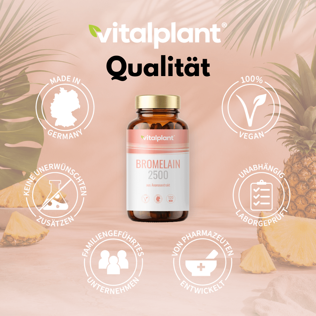 Bromelain Kapseln von Vitalplant, hochdosiertes Enzym aus Ananas, 2500 GDU, vegan, hergestellt in Deutschland