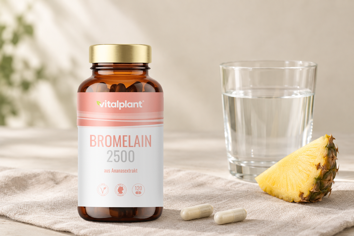 Bromelain Kapseln - 500 mg, 1 bis 2 Kapseln