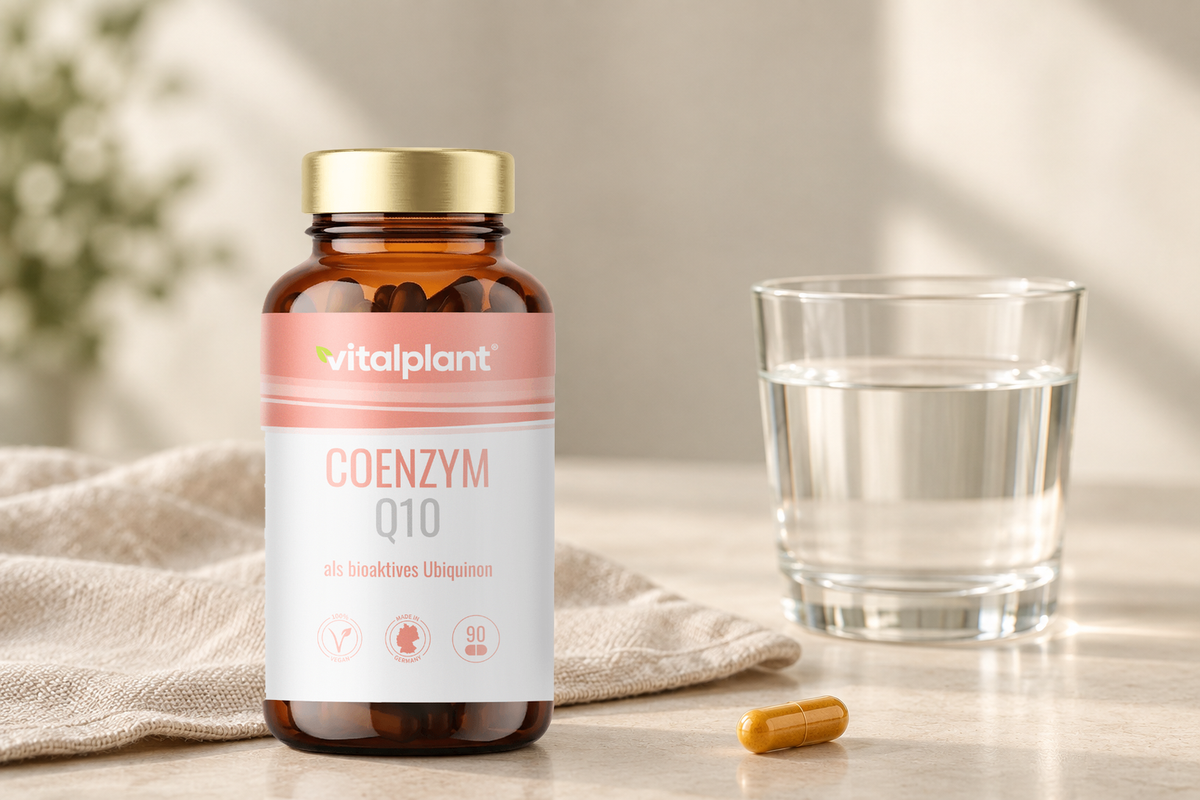 Coenzym Q10 Kapseln - Eine Kapsel täglich