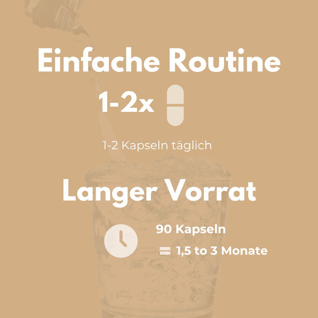 Cordyceps Kapseln für einfache Routine von 1-2 Kapseln täglich, langer Vorrat mit 90 Kapseln.