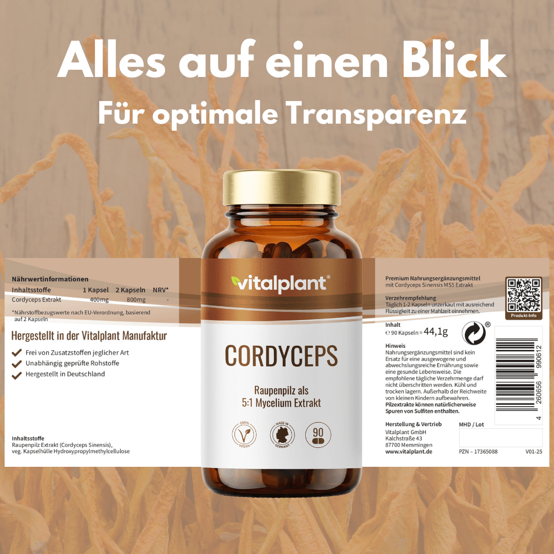 Cordyceps capsules from Vitalplant with premium mycelium extract for optimal health.