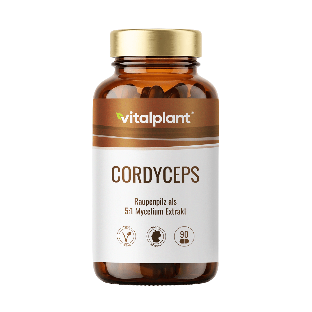 Cordyceps Kapseln von Vitalplant, hochwertiger Raupenpilz als Mycelium Extrakt, 90 Stück