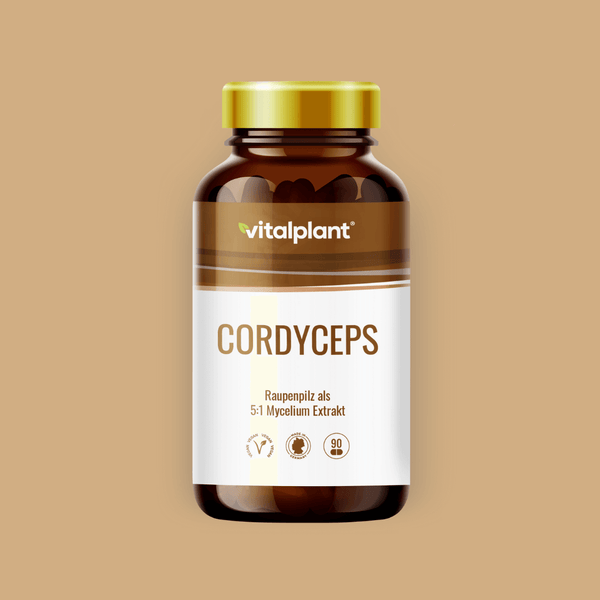 Cordyceps Kapseln von vitalplant, Raupenpilz als 5:1 Mycelium Extrakt, 90 Kapseln in der Flasche.