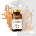 Cordyceps Kapseln von vitalplant, 100% vegan, Raupenpilz Extrakt, Pure Natur