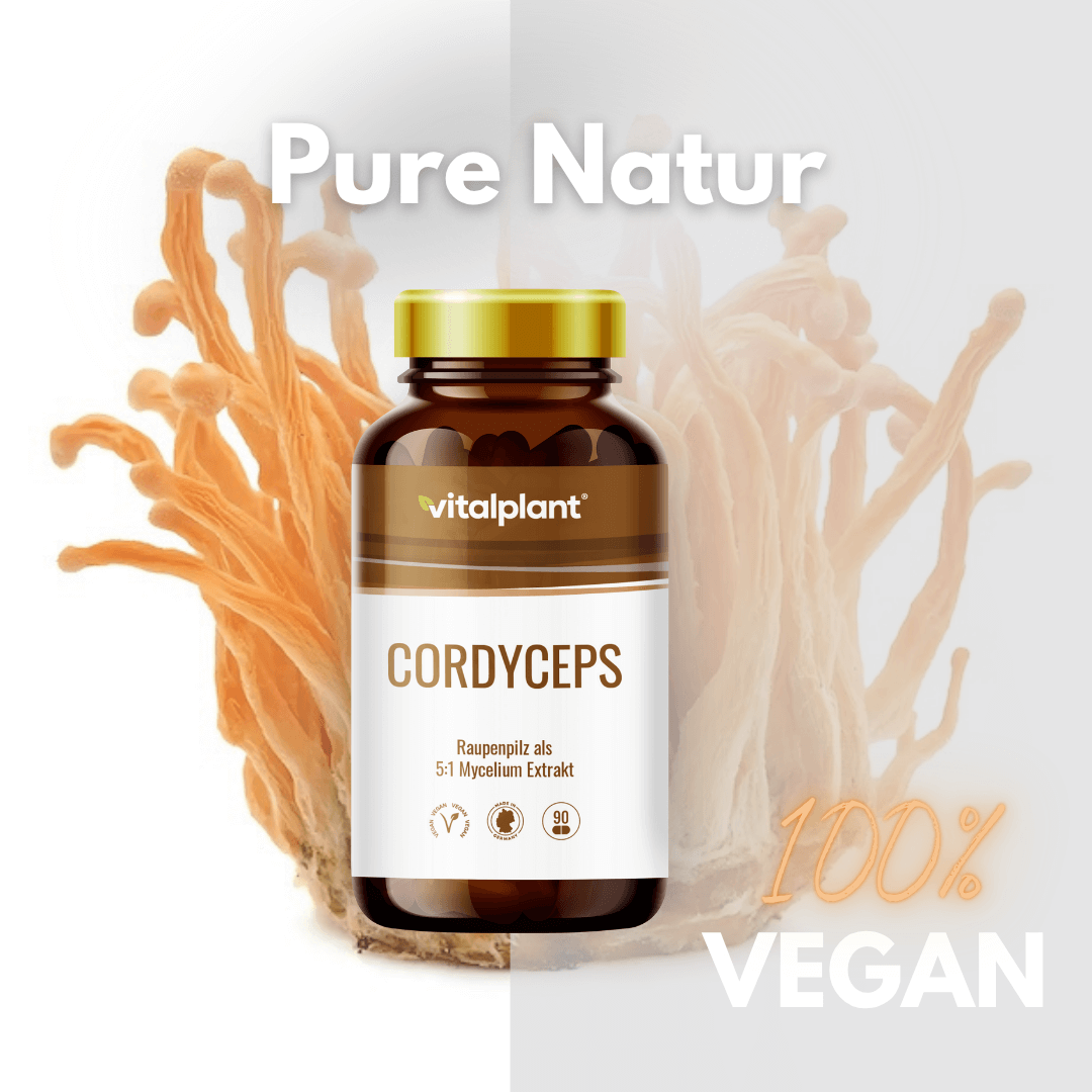 Cordyceps Kapseln von vitalplant, 100% vegan, Raupenpilz Extrakt, Pure Natur