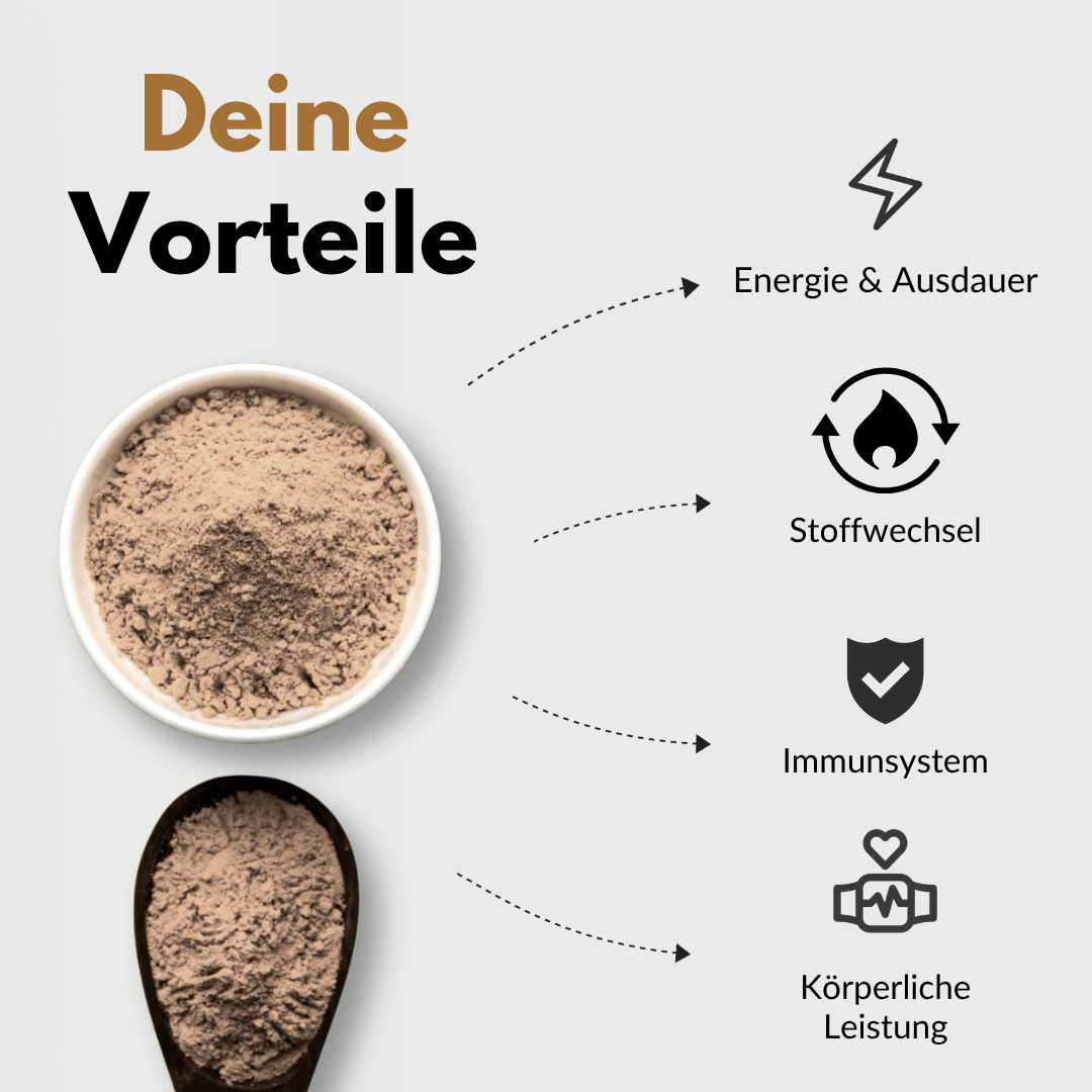Cordyceps Vorteile: Energie & Ausdauer, Stoffwechsel, Immunsystem, Körperliche Leistung.