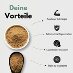 Shilajit Kapseln – Vorteile wie Ausdauer, Zellschutz und essentielle Mineralien in einer ansprechenden Grafik.