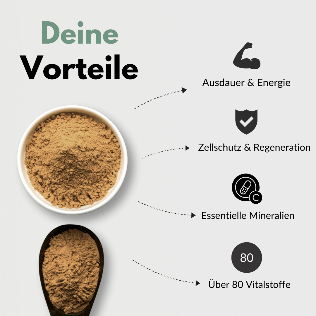Shilajit Kapseln – Vorteile wie Ausdauer, Zellschutz und essentielle Mineralien in einer ansprechenden Grafik.