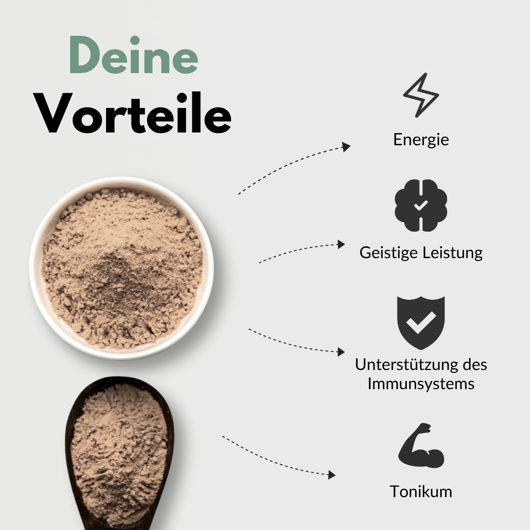 Panax Ginseng Kapseln Vorteile: Energie, geistige Leistung, Unterstützung des Immunsystems, Tonikum.