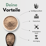 OPC Kapseln Vorteile wie Gefäßgesundheit, Hautschutz, antioxidative Kraft und Anti-Aging in einem informativen Diagramm.