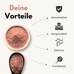 Deine Vorteile von Zink + C Kapseln: Immunfunktion, Hautgesundheit, Zellschutz, Fruchtbarkeit