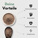 Vitalpilze Komplex Kapseln gesundheitliche Vorteile inklusive Immununterstützung und Stressresilienz