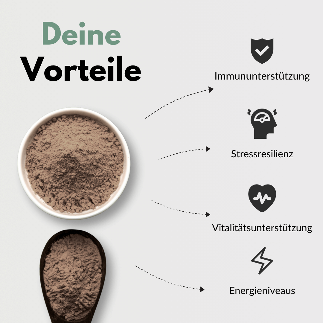 Vitalpilze Komplex Kapseln gesundheitliche Vorteile inklusive Immununterstützung und Stressresilienz