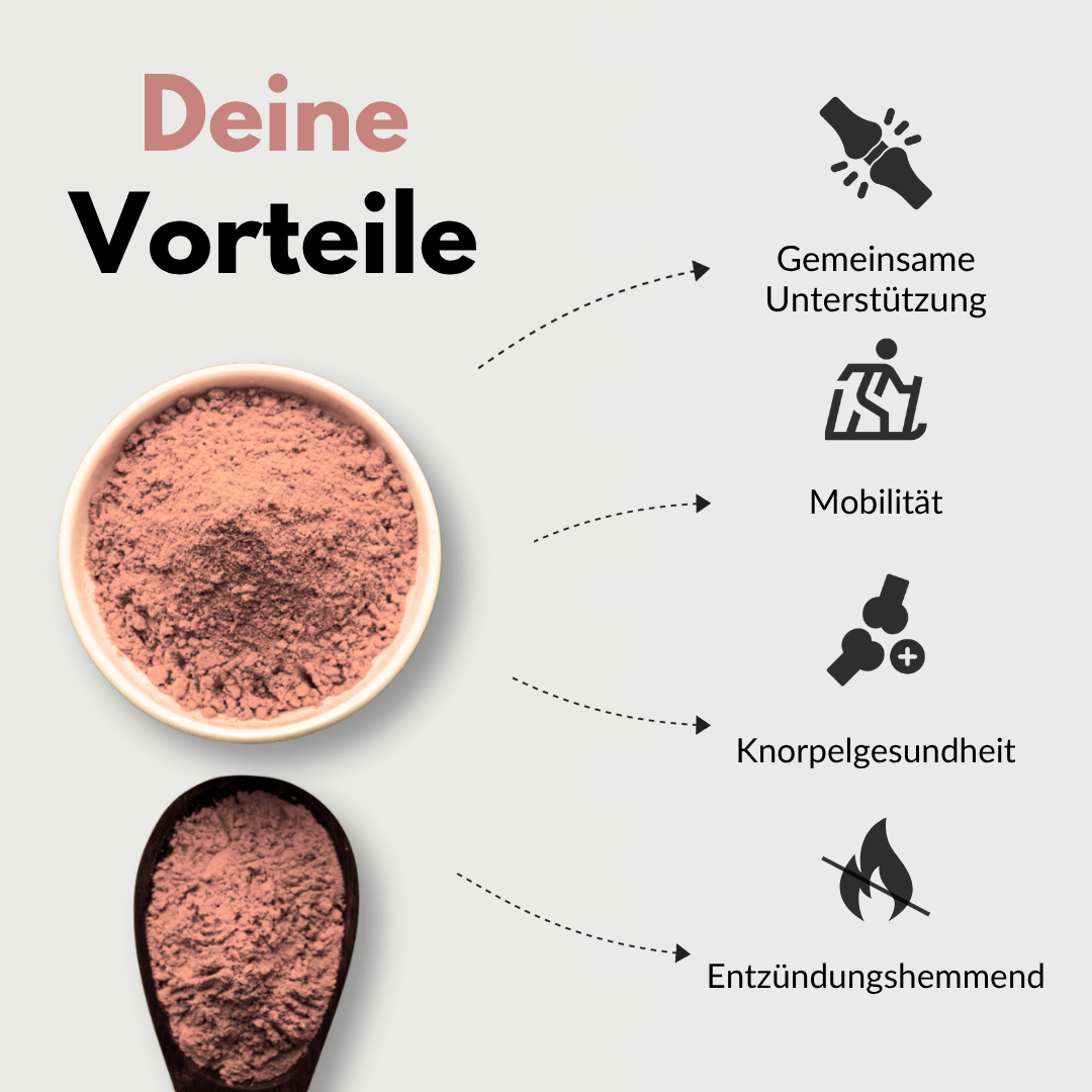 MSM & Glucosamin Vorteile: Unterstützung, Mobilität, Knorpelgesundheit, entzündungshemmend