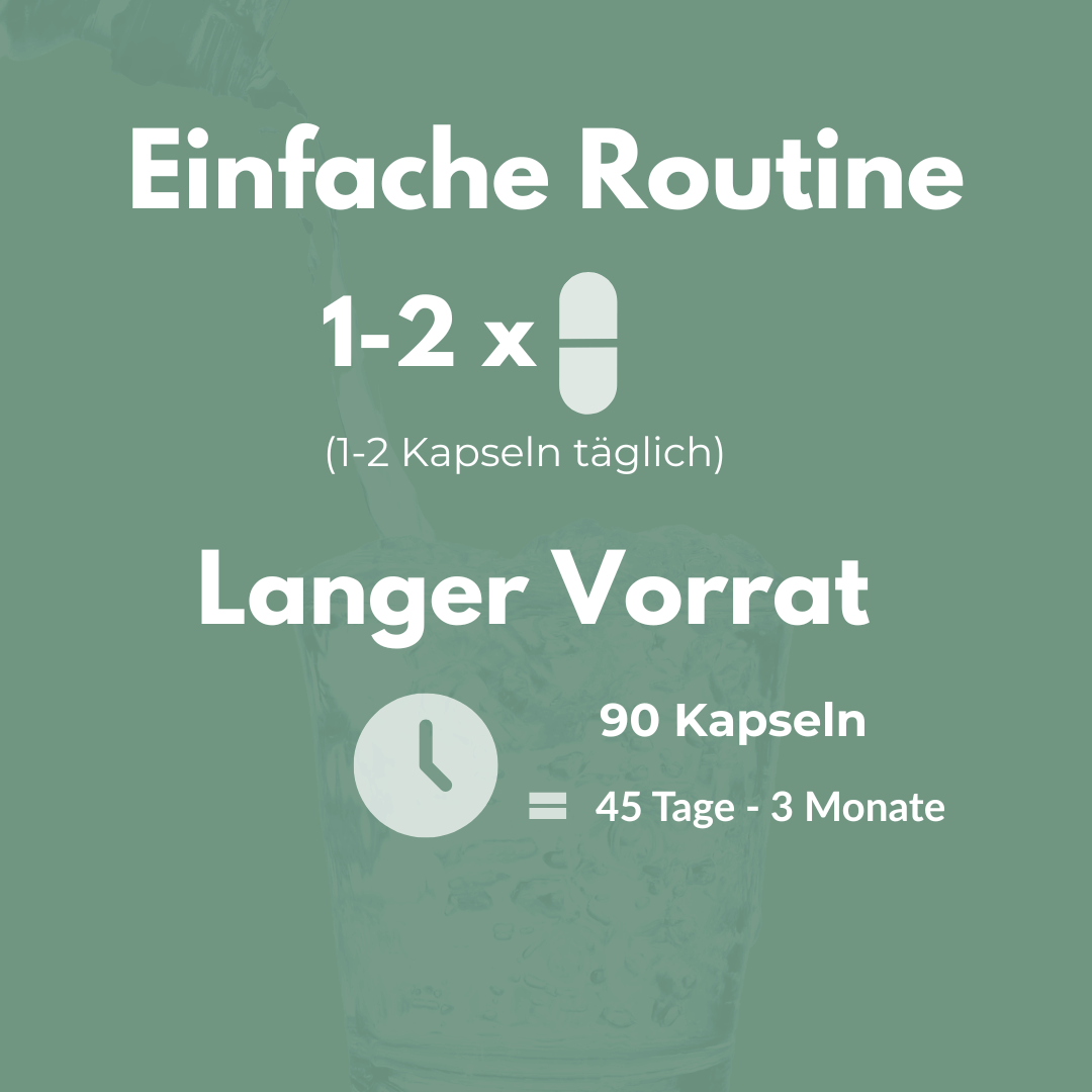 Einfacher Routineplan für Shilajit Kapseln: 1-2 Kapseln täglich, 90 Kapseln für 45 Tage bis 3 Monate.