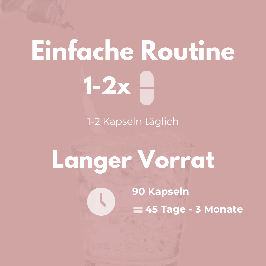 Omega 3 Vegan Kapseln: Einfache Routine und langer Vorrat für 1-2 Kapseln täglich.