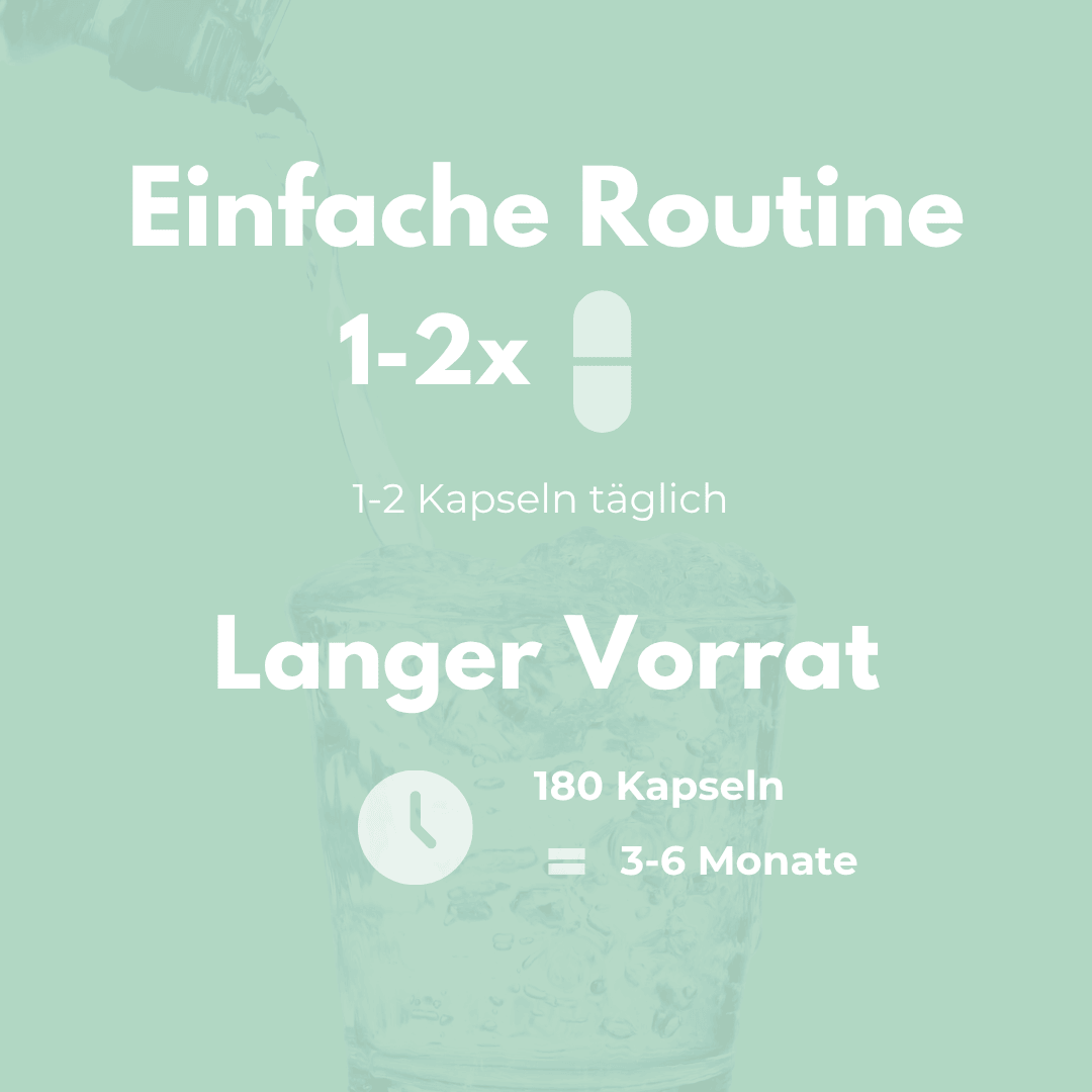 Einfache Routine mit Passionsblume Kapseln für entspannende Wirkung und langen Vorrat von 180 Kapseln.