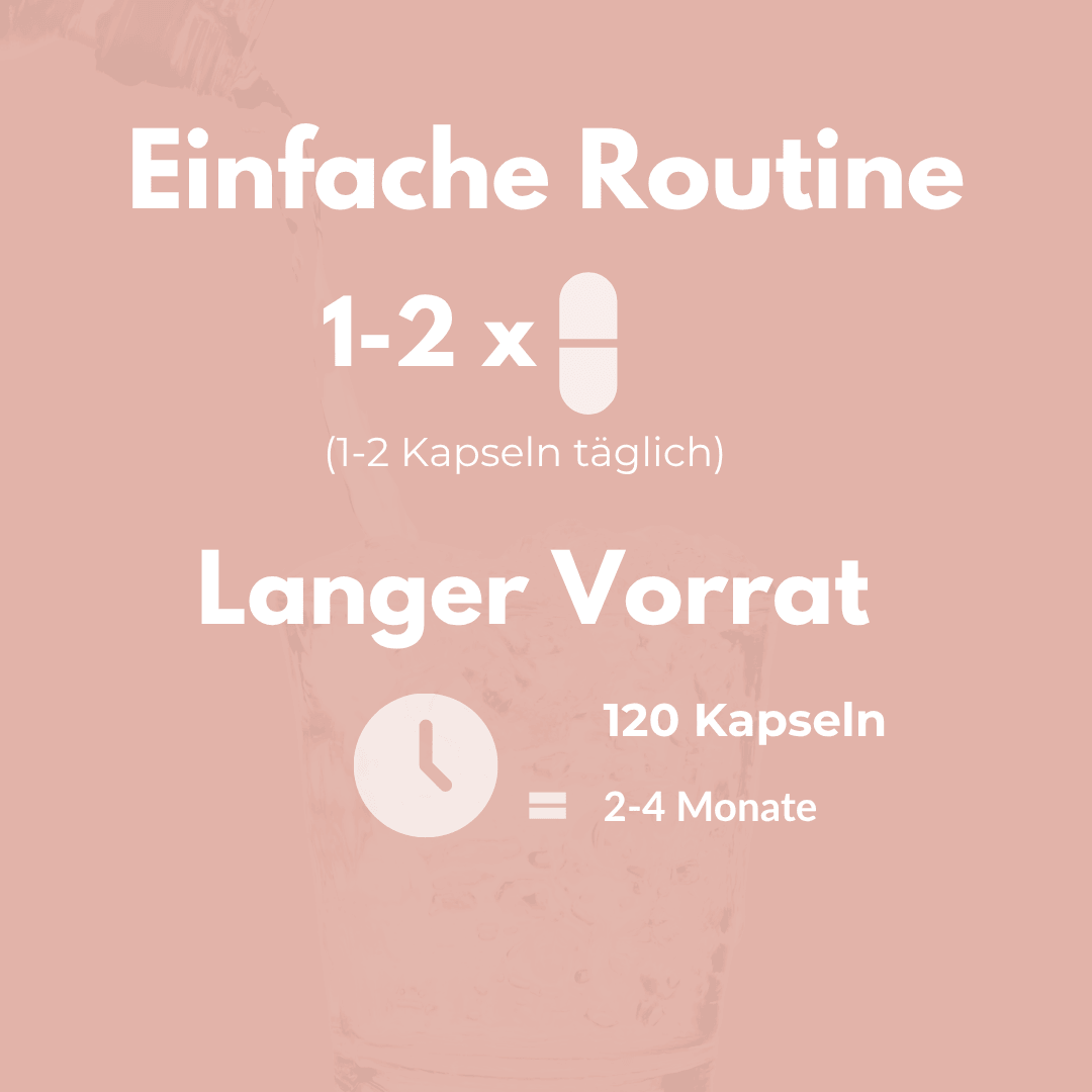 Bromelain Kapseln empfohlene Einnahme 1-2 täglich und langer Vorrat mit 120 Kapseln für 2-4 Monate.