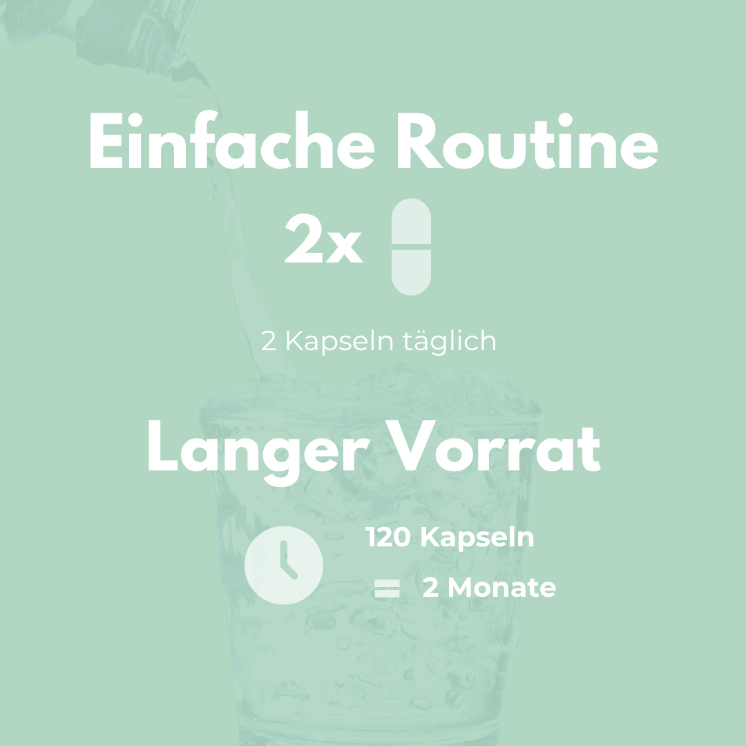 Panax Ginseng Kapseln: Einfache Routine mit 2 Kapseln täglich für einen Vorrat von 120 Kapseln über 2 Monate.