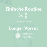 Bitter Komplex Kapseln einfache Routine 3x täglich für 30 Tage mit 90 Kapseln