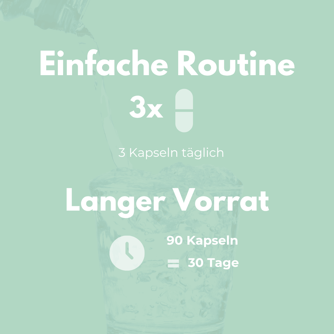 Bitter Komplex Kapseln einfache Routine 3x täglich für 30 Tage mit 90 Kapseln