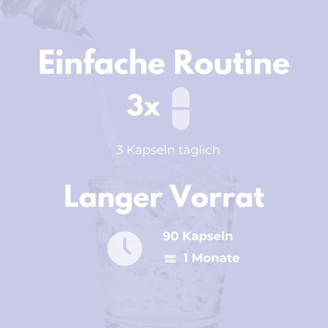 Gehirn Komplex Kapseln - Einfache Routine mit 3 Kapseln täglich für den monatlichen Vorrat von 90 Kapseln.