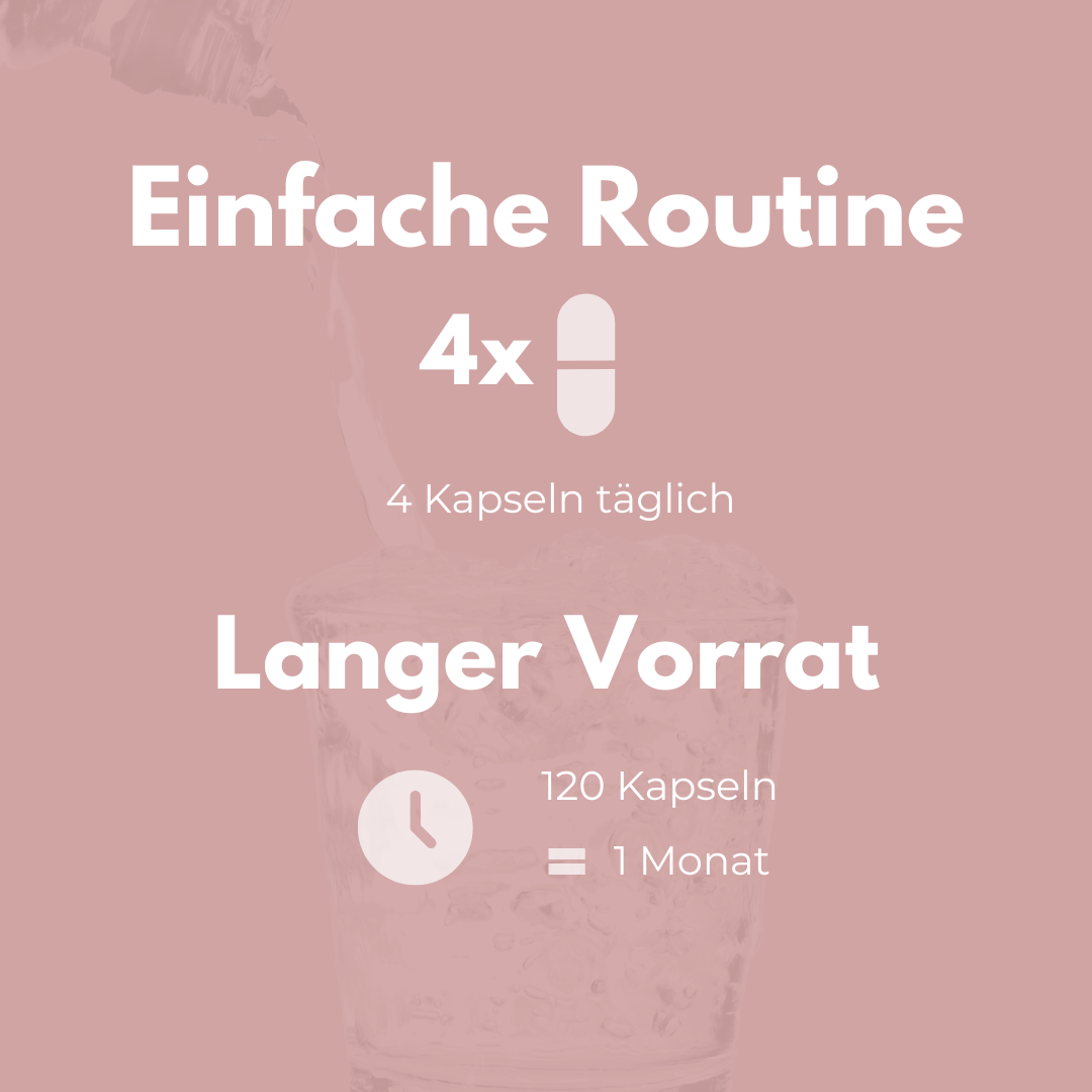 Magnesium Glycinat 120 Kapseln – Einfache Routine mit 4 Kapseln täglich für 1 Monat Vorrat.
