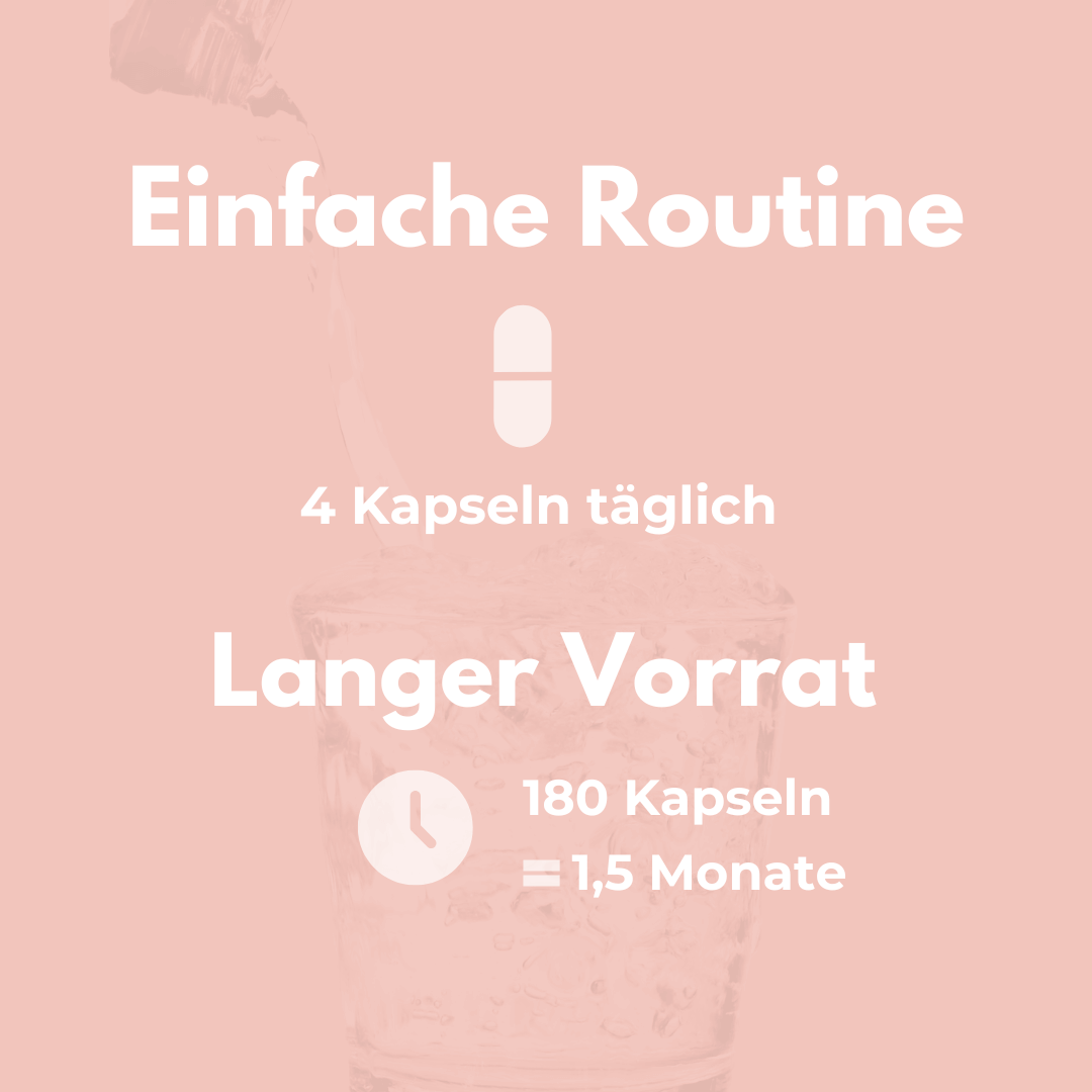 Magnesium Glycinat Kapseln – Einfache Routine mit 4 Kapseln täglich für 1,5 Monate Vorrat.