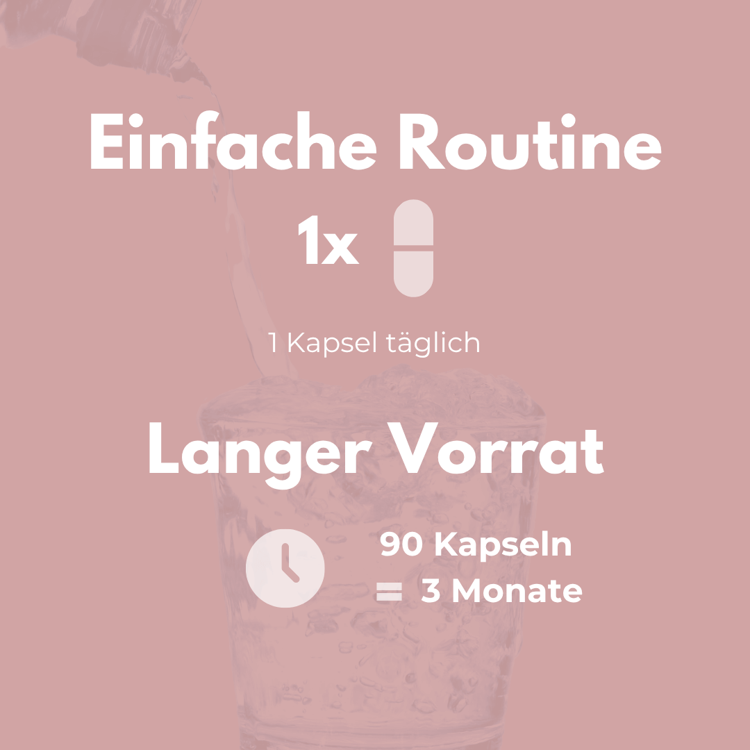 Vitamin B Komplex Aktiv – einfache Routine mit 90 Kapseln für 3 Monate tägliche Anwendung.