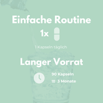 Mariendistel Kapseln - Einfache Routine mit 1 Kapsel täglich für 3 Monate Vorrat