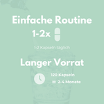 Milk Thistle Complex – Easy routine with 1-2 capsules daily for 120 capsules and a 2-4 month supply.