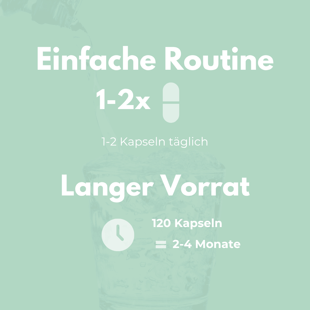 Milk Thistle Complex – Easy routine with 1-2 capsules daily for 120 capsules and a 2-4 month supply.