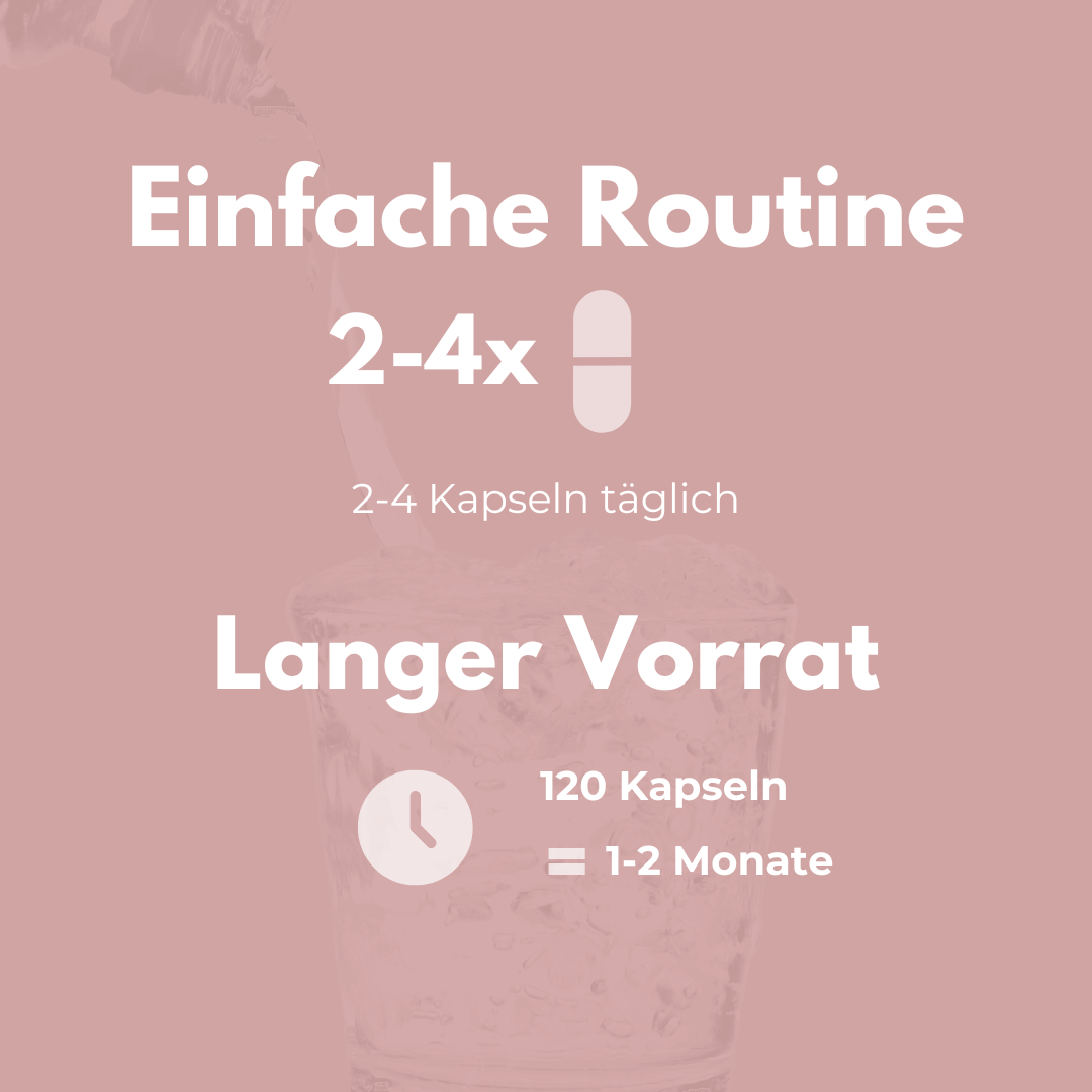 MSM & Glucosamin Kapseln – Einfache Routine mit 2-4 Kapseln täglich für 1-2 Monate Vorrat.