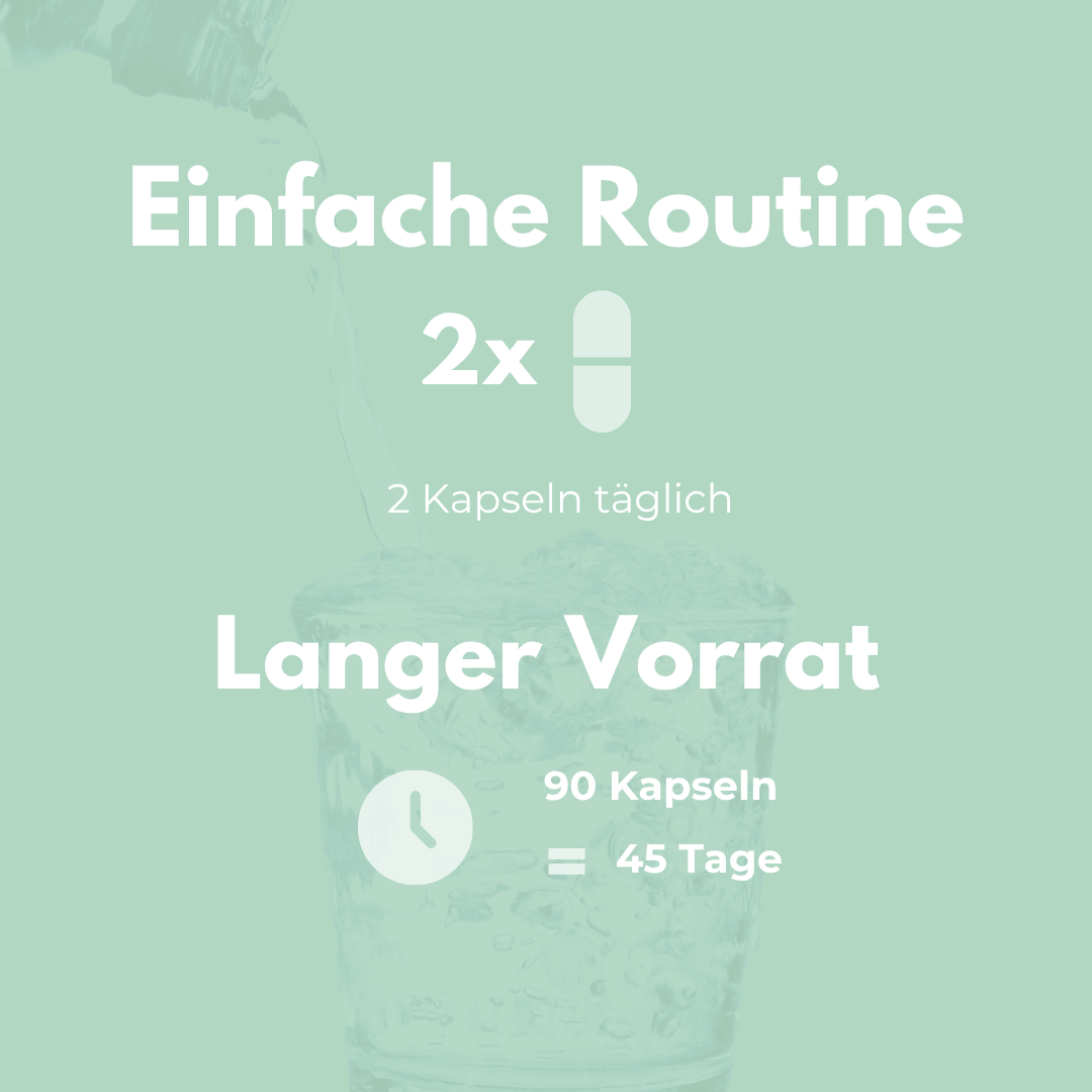 Zimt Kapseln - einfache Routine für 2 Kapseln täglich mit 90 Kapseln für 45 Tage