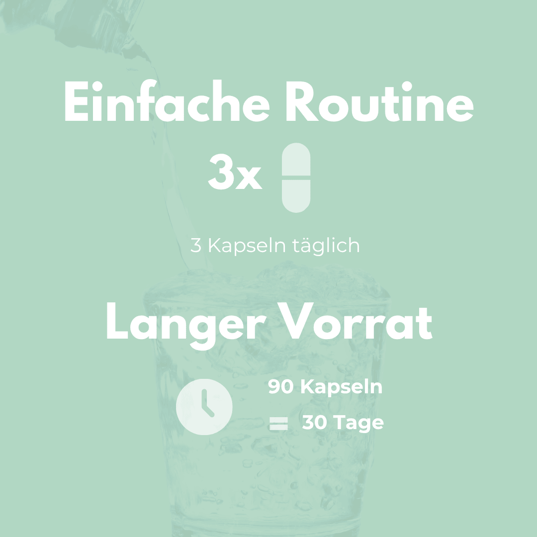 Bitter Komplex einfache Routine 3x 3 Kapseln täglich langer Vorrat 90 Kapseln 30 Tage