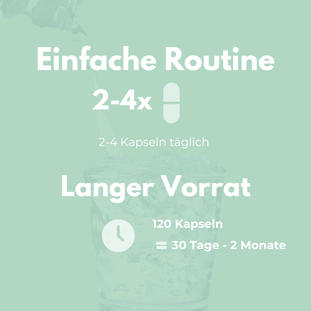 Weihrauch Kapseln - Anleitung zur Einnahme: 2-4 Kapseln täglich für 30 Tage bis 2 Monate Vorrat.