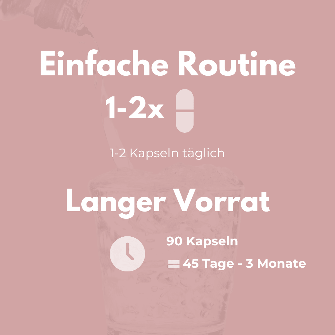 Omega 3 Vegan tägliche Einnahme von 1-2 Kapseln für 45 Tage bis 3 Monate Vorrat