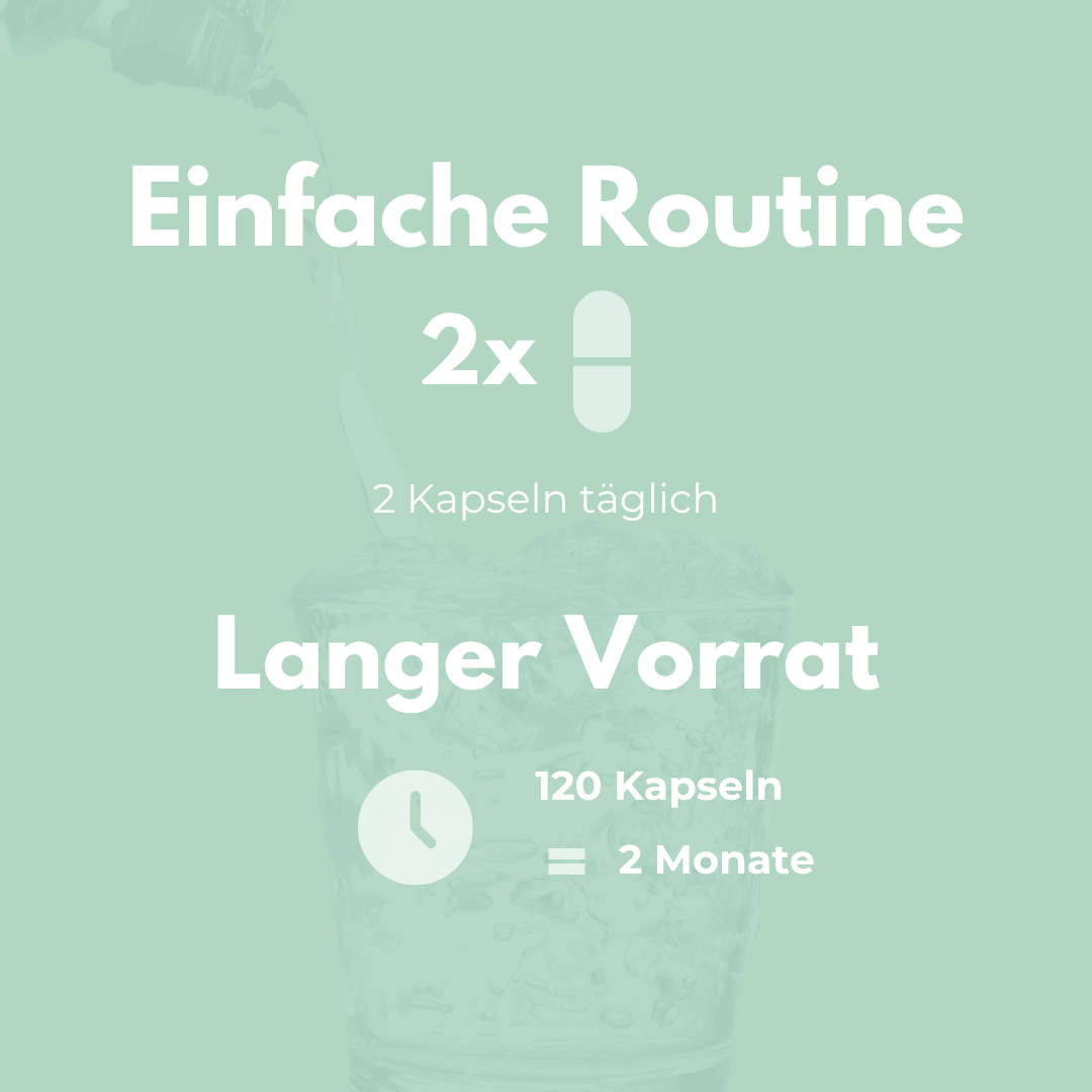 OPC Kapseln Einnahmeempfehlung: 2 Kapseln täglich für 2 Monate Vorrat mit 120 Kapseln.