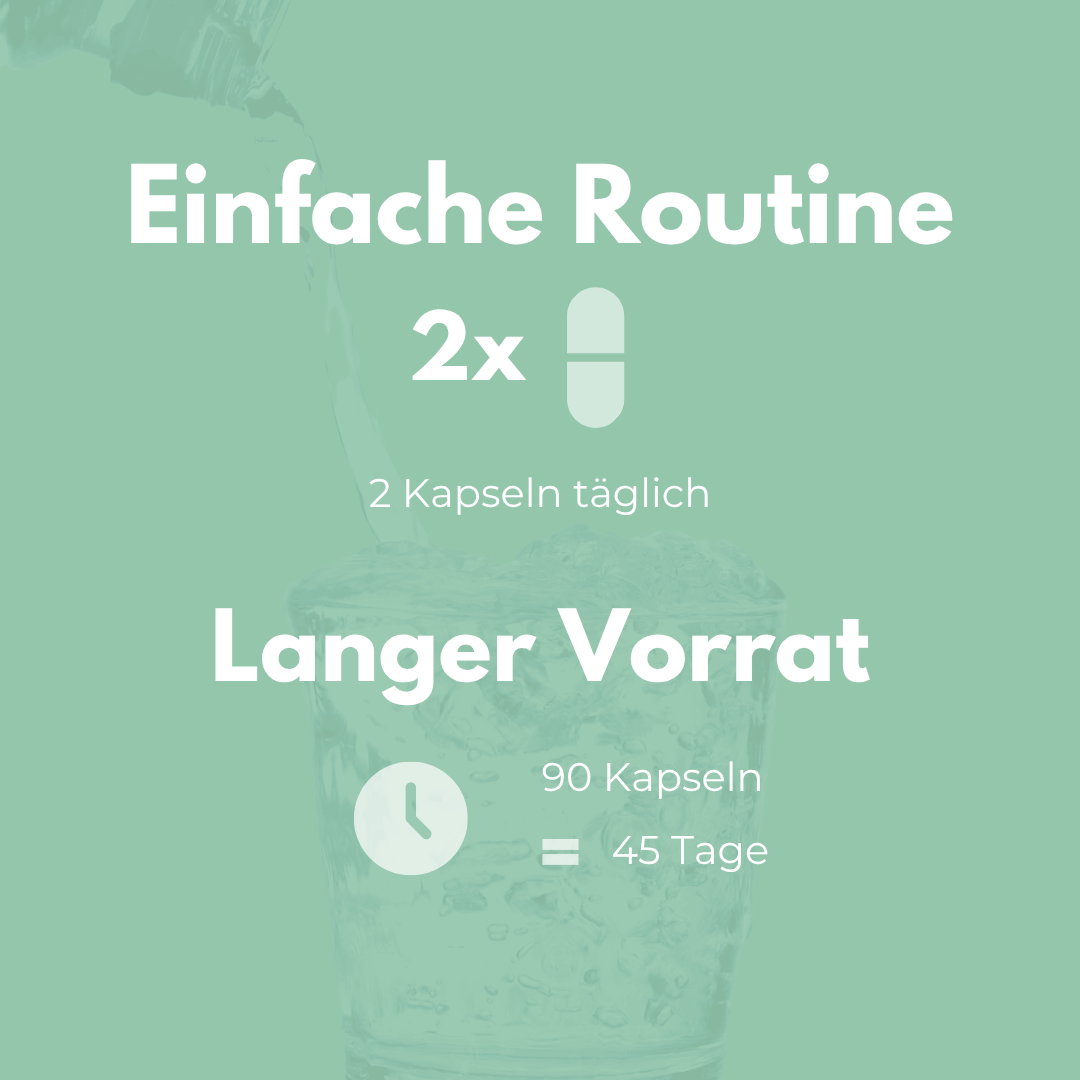 Vitalpilze Komplex Kapseln einfache Routine 2x täglich langer Vorrat 90 Kapseln 45 Tage