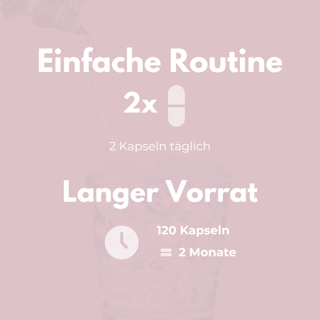 Meno Vital Kapseln – einfache Routine mit 120 Kapseln für 2 Monate