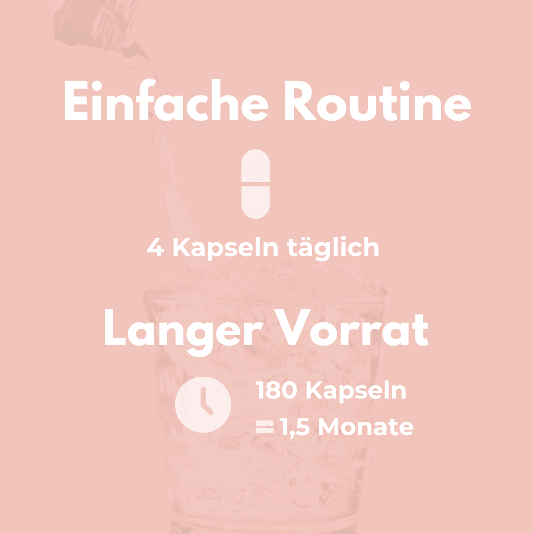 Magnesium Glycinat Kapseln - Einfache Routine mit 4 Kapseln täglich für 1,5 Monate Vorrat.