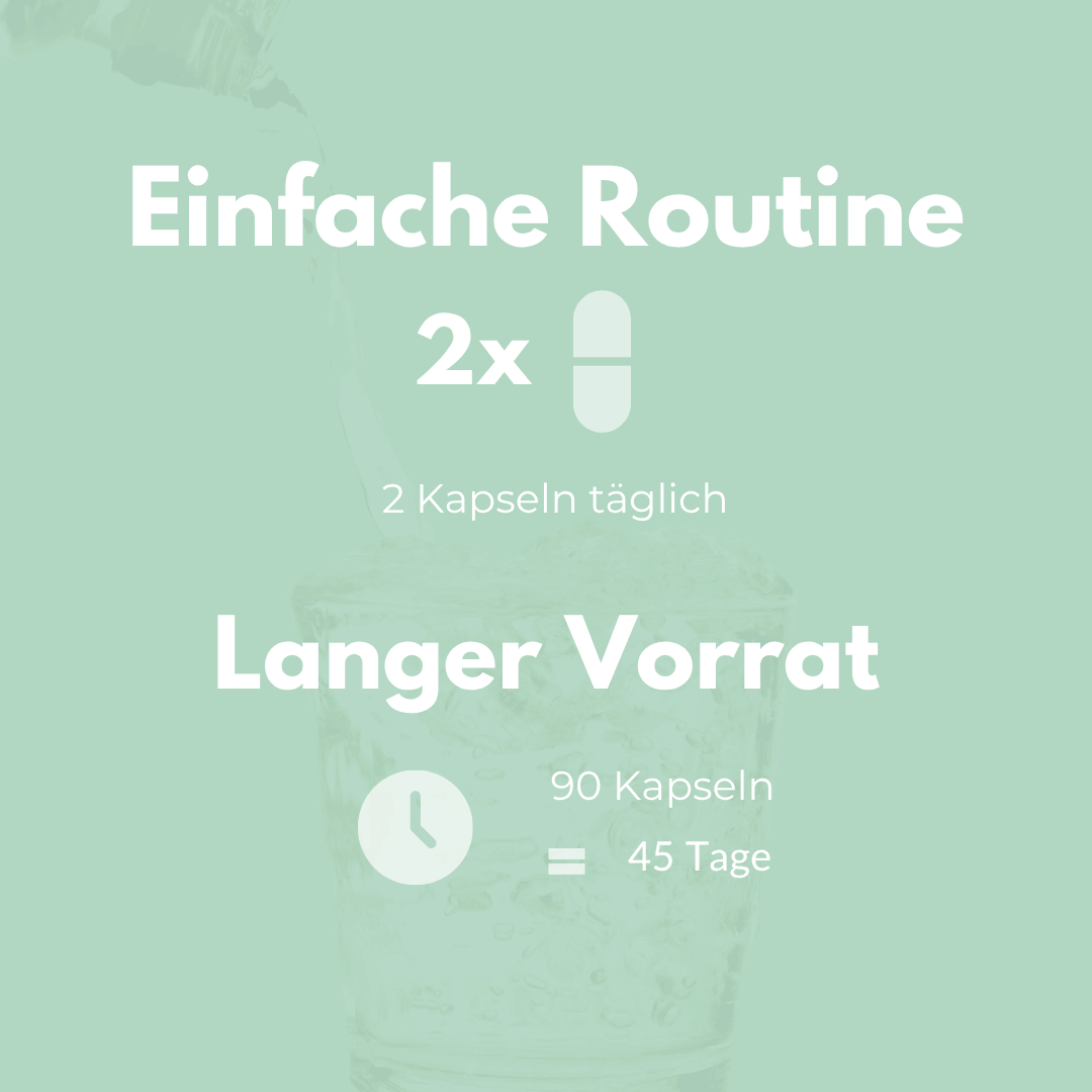 Artischocke Kapseln: Einfache Routine mit 2 Kapseln täglich für einen langen Vorrat von 90 Kapseln
