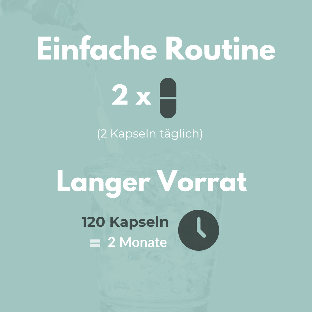 Nutze Bio Schwarzkümmelöl Kapseln für eine einfache Routine mit 120 Kapseln für 2 Monate.