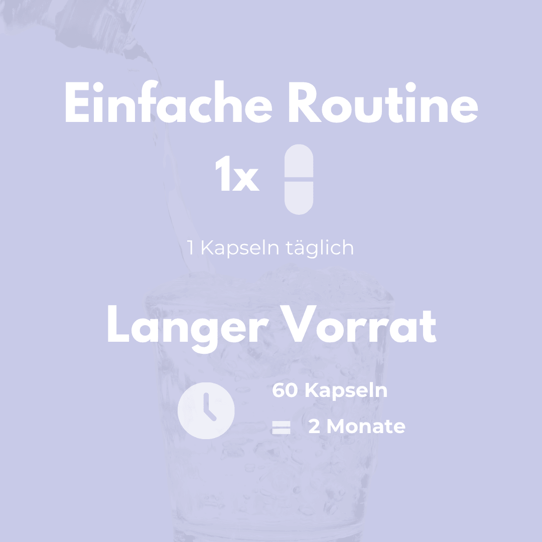 Kulturen Komplex Kapseln – einfache Routine für optimale Darmgesundheit und langer Vorrat für 2 Monate.